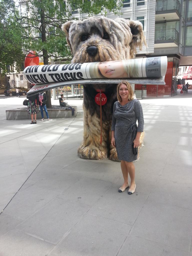 KaminAmanda's tweet photo. @TheNatMedia #ifoundtiny ! Best things in life newspapers and yorkies! http://t.co/Rw3OVXmTFD
