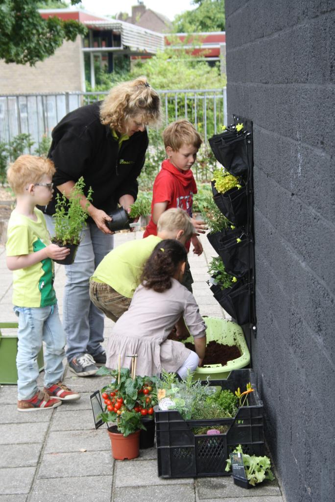 mooi project afgerond op #BSdevlechter in #Vlijmen #verticaal #tuinieren met #kinderen #vandemuuropjebord #gezond