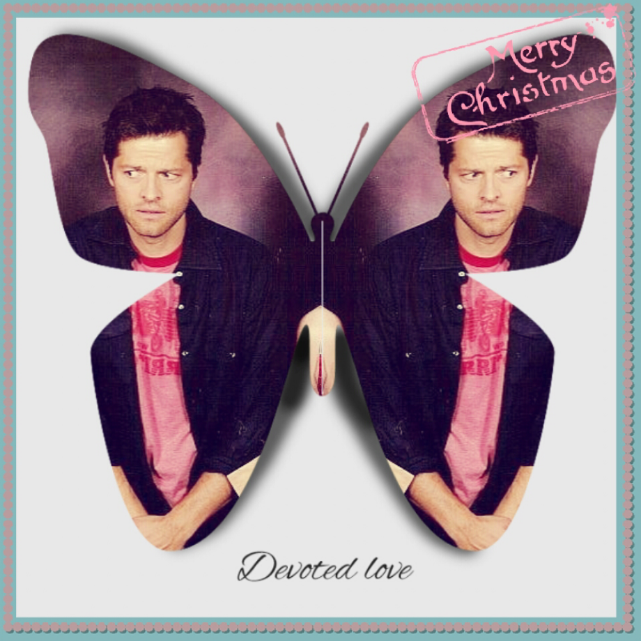 маленькая бабочка