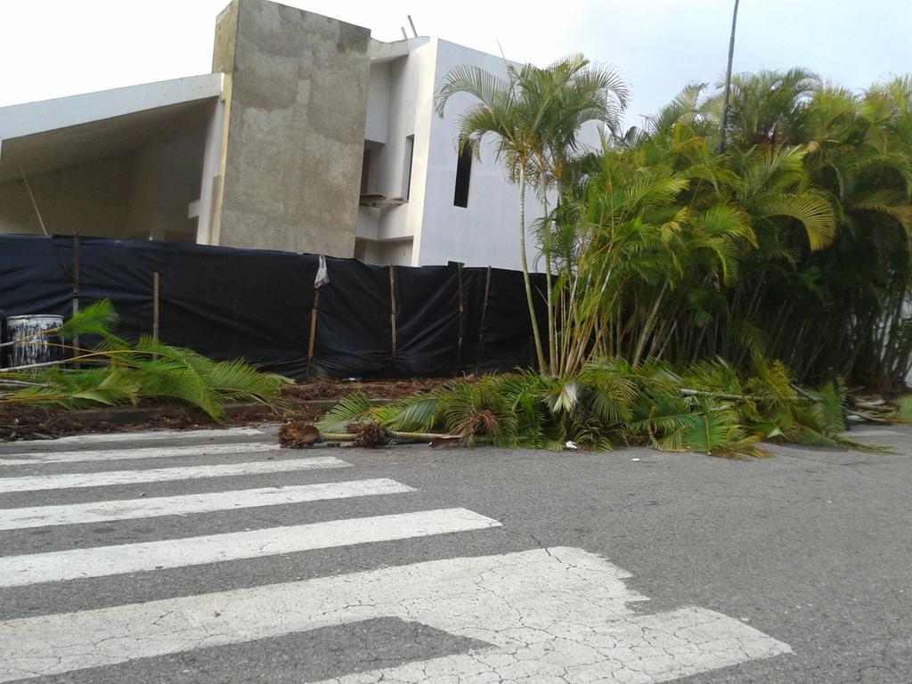 Sandra Bubregh tweet media