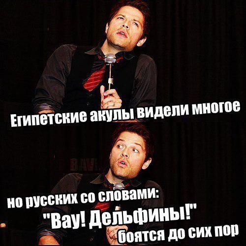 €ãstїЇl † ₹ (@kastiilnovak) on Twitter photo 