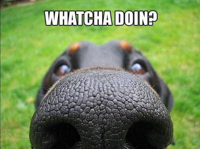 How's your week going everyone?
#itsnearlyfriday!