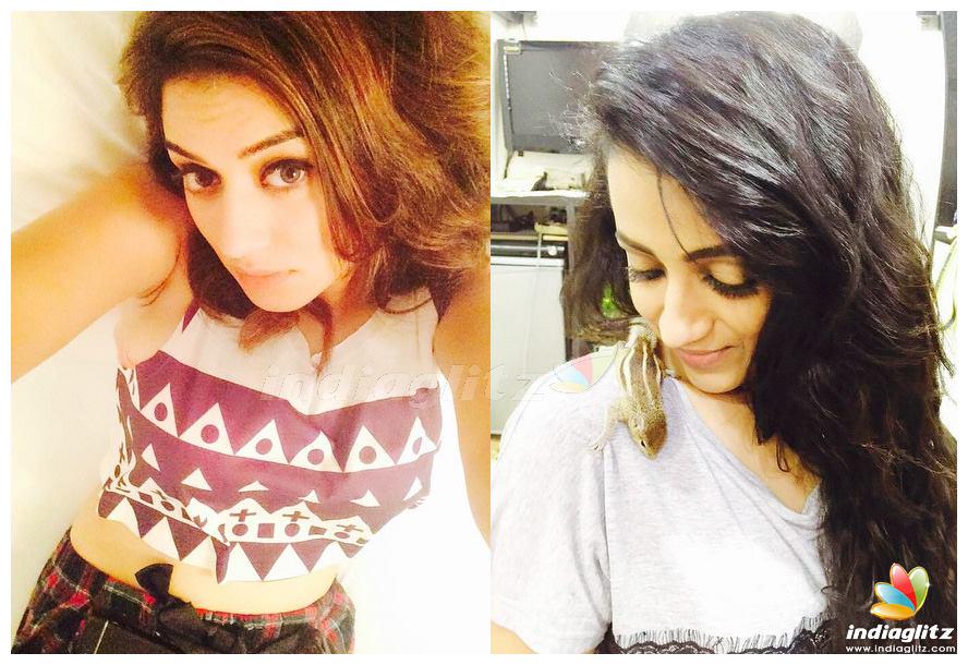 igtamil's tweet image. Candid moments - #Hansika and #Trisha.

@ihansika @trishtrashers #Aranmanai2 #Vaalu #Appatakkaru #Puli #Thoongavanam