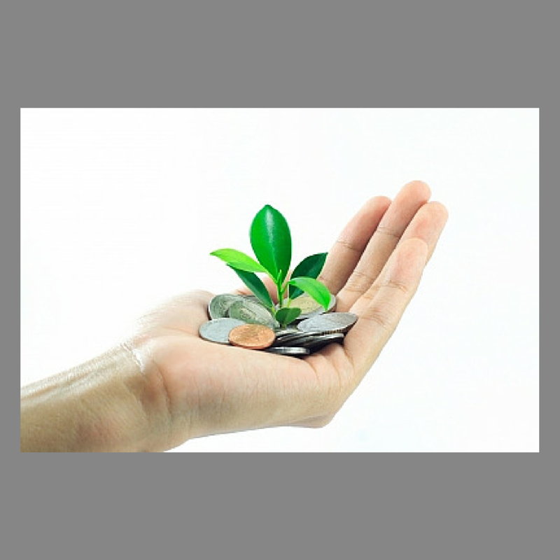 ReenaMalra's tweet photo. If you want to grow a career in #property you have to plant the seed! http://t.co/v5la6ML5Rm