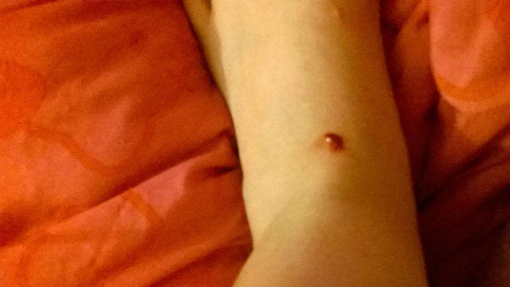 unearthed_show's tweet photo. -_-|| my cat hates me http://t.co/RIIxyqvoe7