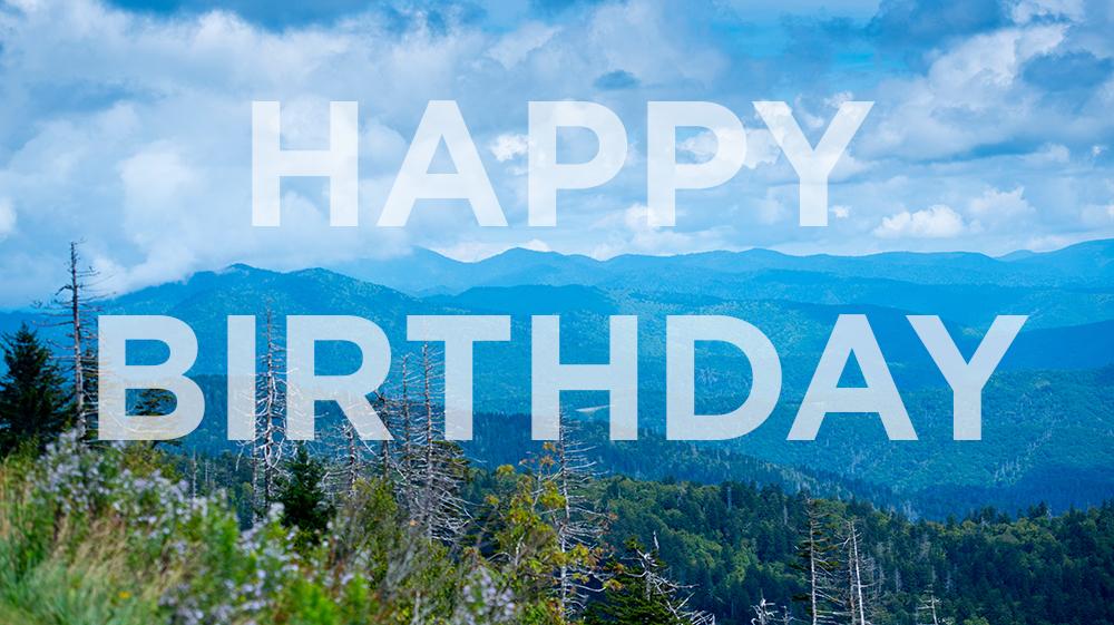 Vacation Races tweet media