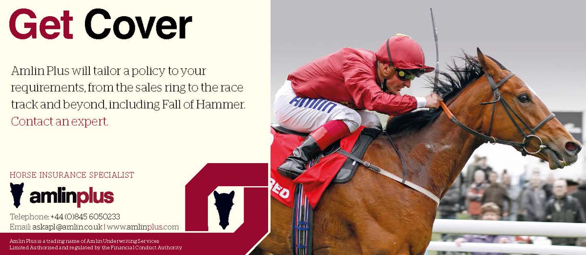 bloodstocknews's tweet photo. Tailor a policy to suit your needs from fall of hammer - AmlinPlus http://t.co/5YnRe2vpXW