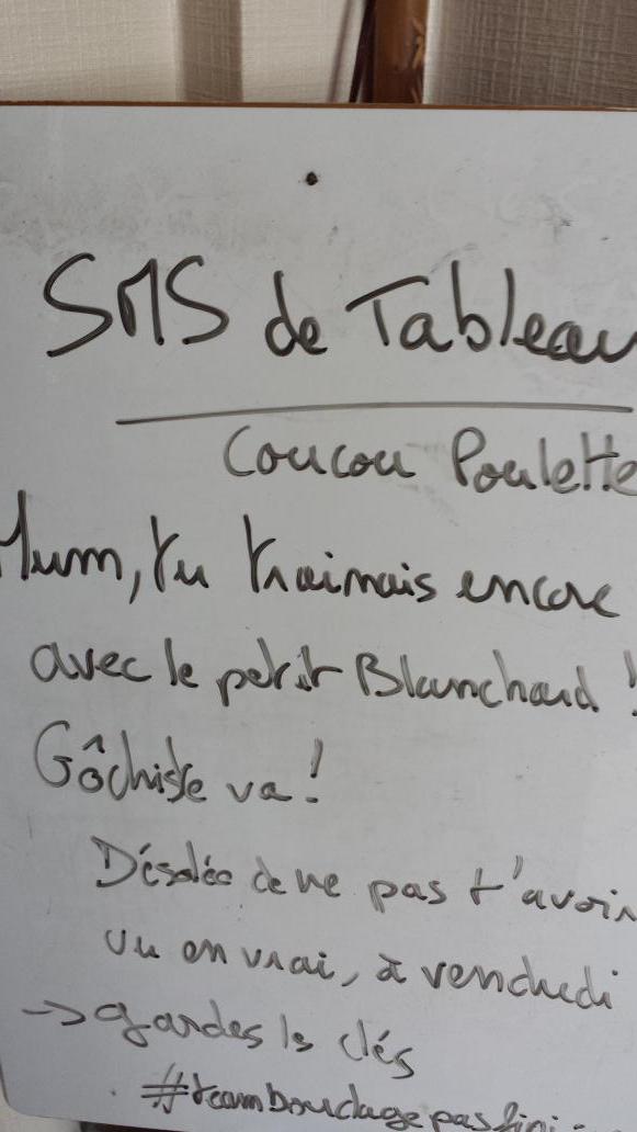 CarolineLeBert's tweet image. 😅😅 Si @jvgazouille n'existait pas, il faudrait l'inventer #SMSdeTableau #Com3.0 cc @BlanchardFabien