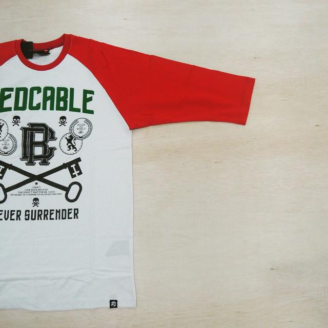 RedCable Indonesia tweet media