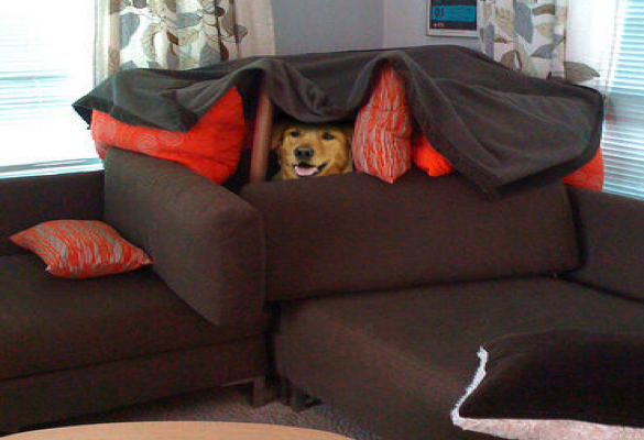 FellowTravellr's tweet photo. Already planning for the #FortMeow sequel. Just have to sell @rhysdee on the idea.... #launchdayfun http://t.co/E2jwFCxyza