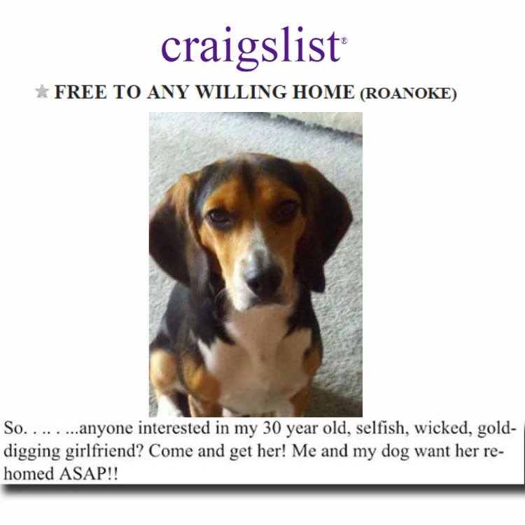 foxandfriends's tweet image. One guy's girlfriend made him choose between his dog and her - so he posted an ad to find a new home for HER!