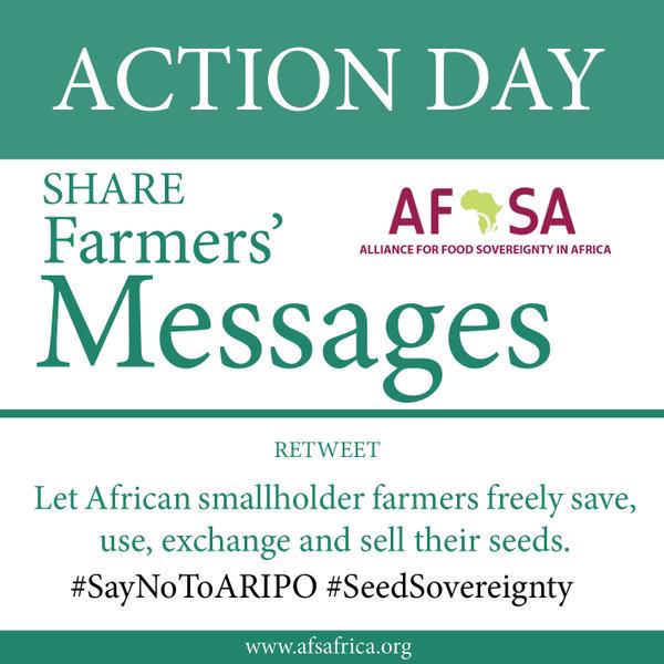GlobalJusticeUK's tweet image. Solidarity to our allies @Afsafrica on their day of action. Small scale farmers need #seedsovereignty #freetheseeds!