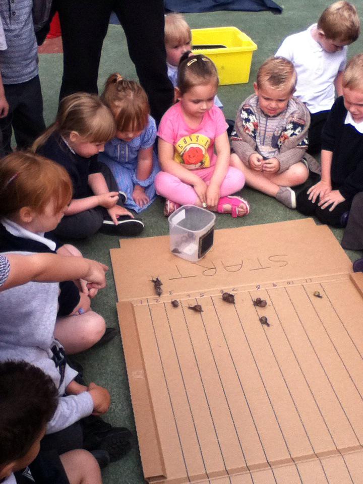 Whitegate Nursery tweet media