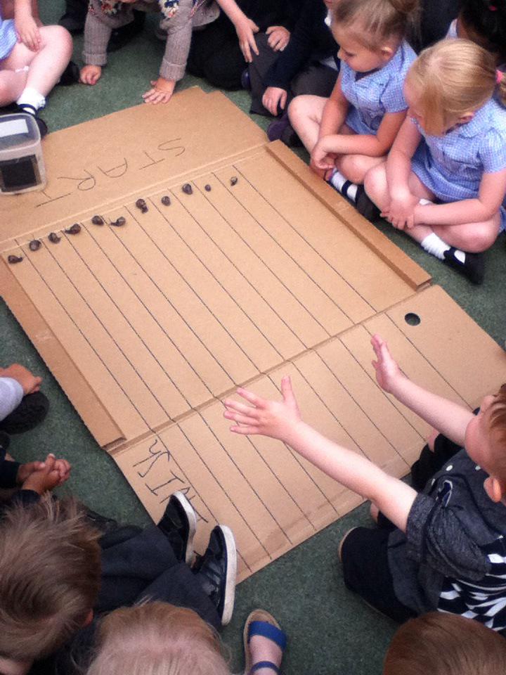 Whitegate Nursery tweet media