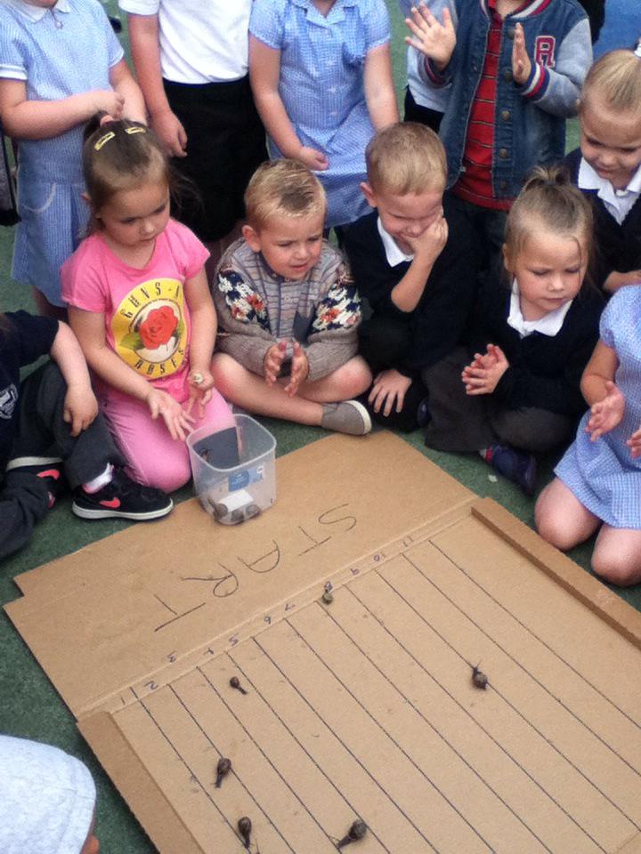Whitegate Nursery tweet media