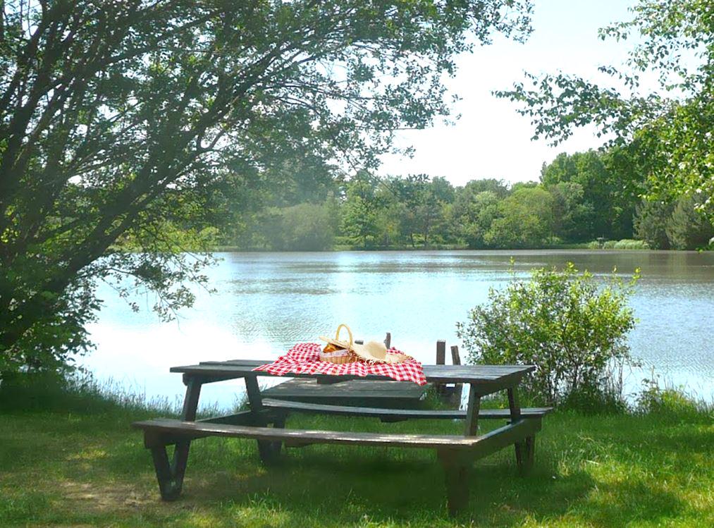 Courcimont's tweet photo. ça vous tente? 
#PiqueNique #Etang #Sologne #Soleil @Courcimont http://t.co/T4j8TscDBZ