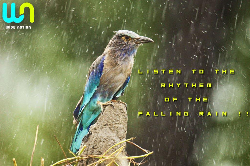 WideNotion's tweet image. #CreativityInStyle #ideas #Monsoon2015  #DelhiRains #widenotion