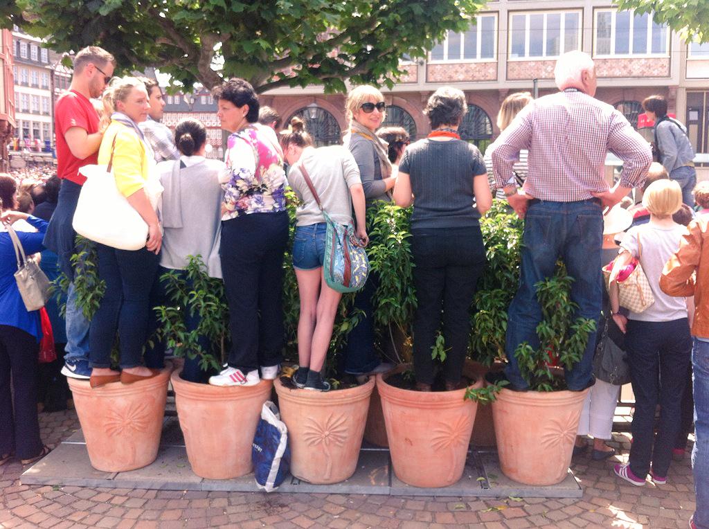 le_stre's tweet image. Gute Plätze sind rar. Besser man hat seinen eigenen Blumentopf mitgebracht. #QueenInFfm