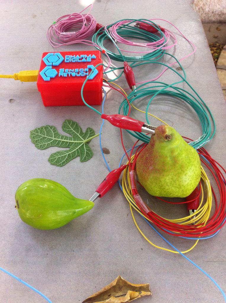 Oggi i bambini sperimentano i suoni con l'utilizzo della tecnologia Dharma DigLab . #MattineInCampagna #2