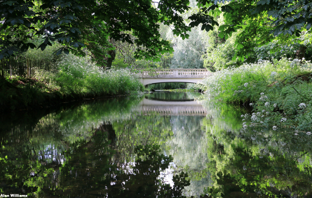 BBCWales's tweet photo. Take a walk on the wild side » http://t.co/30yVBOmYUy

Rippling reflections in Roath Park, Cardiff #photooftheday http://t.co/s8m5afZS3U