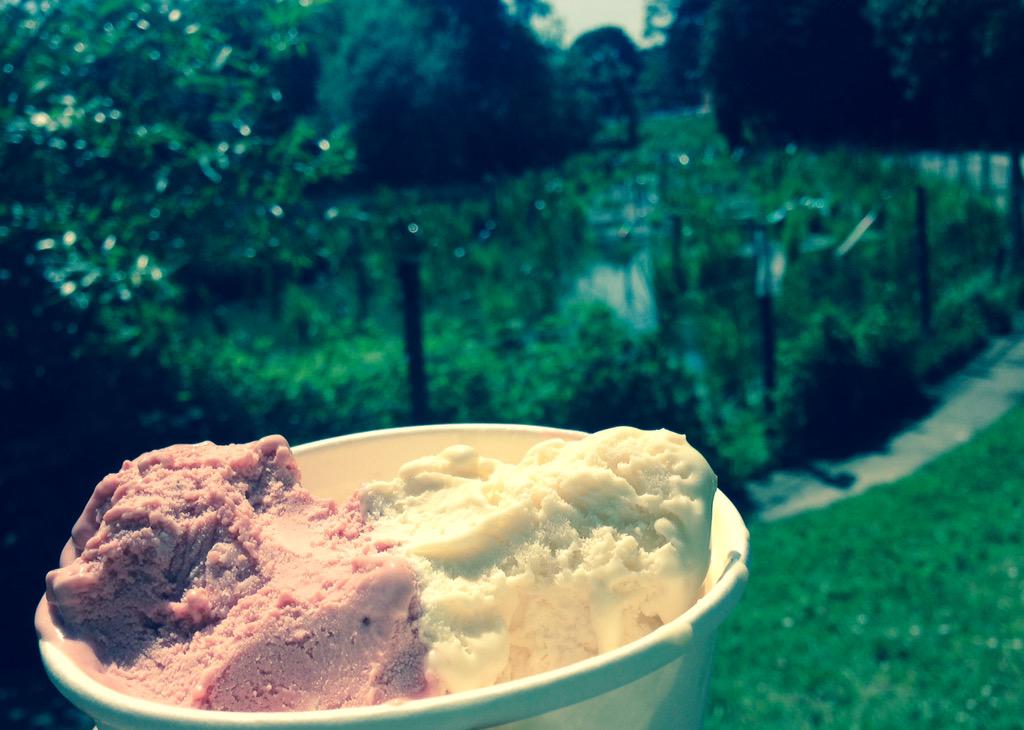 <a href="/SouthPondGroup/">South Pond Group</a> perfect sunny spot for a break btwn Physio patients 4 tasty Icecream <a href="/fitzcanes/">Fitzcanes</a> 👍