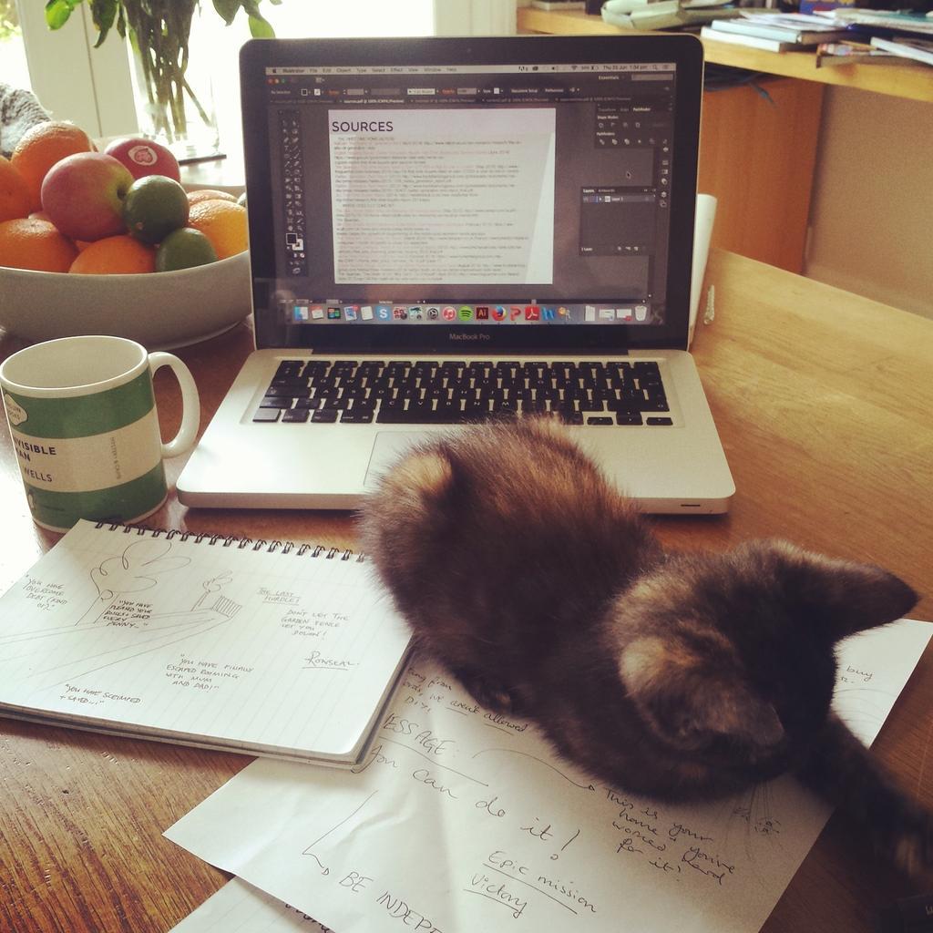 PhoebeGatehouse's tweet photo. Finishing up my submission for @bjlgroup but this guy has other ideas 😒😺 #BJLseat http://t.co/TyaZipf6em