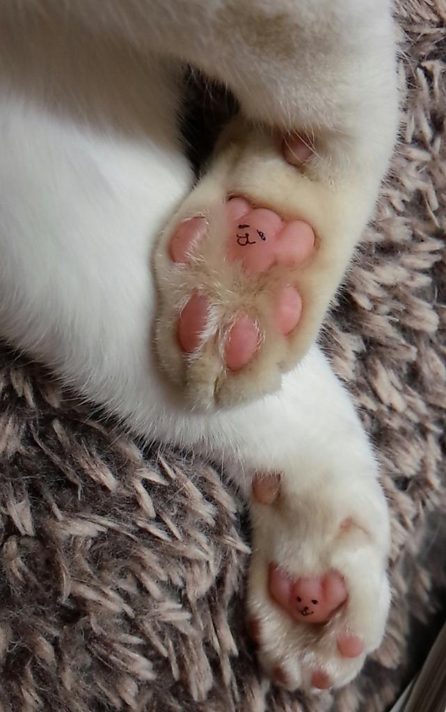 佐野ꪔ 尚春 たまに猫の肉球にクマさん落書きするイタズラをしてるんだが 未だに親とかに気づかれたことはない Http T Co Goja75ujx7 佐野ꪔ 尚春 たまに猫の肉球にクマさん落書きするイタズラをしてるんだが 未だに親とかに気づかれたことはない Http T Co Goja75ujx7