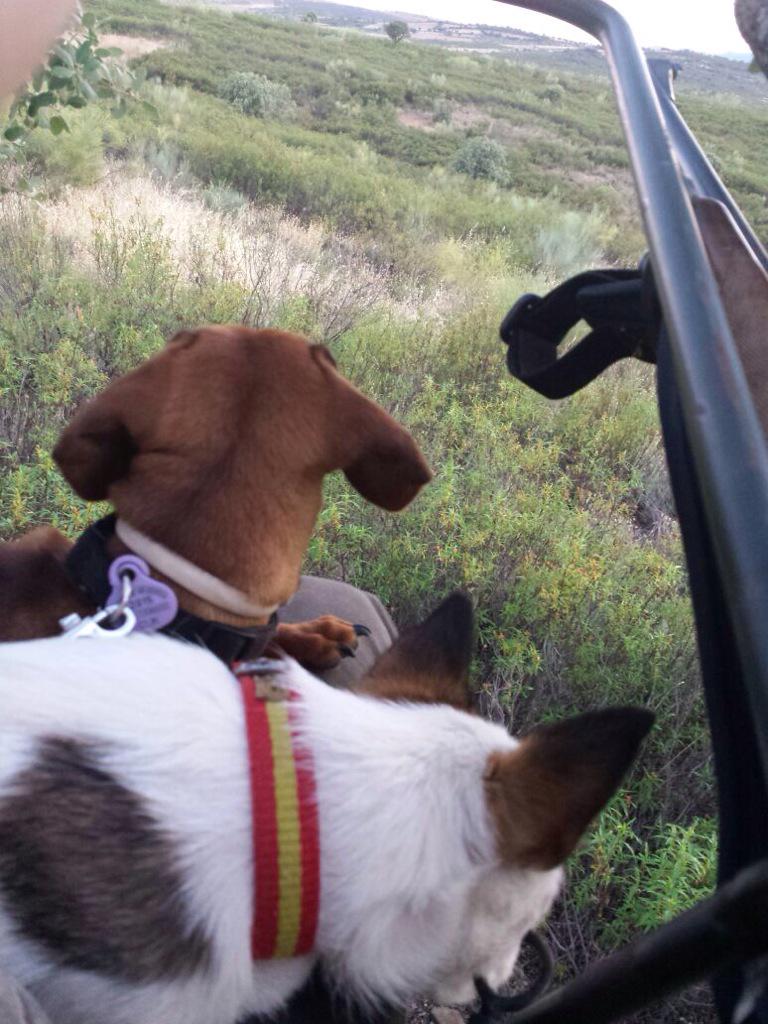 De espera veraniega y en buena compañía