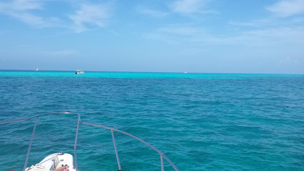 MaratonCUN's tweet photo. Estamos a162 dias del Maraton de Cancun, gracias a todos los inscritos!!!
http://t.co/yxCVFgWX44 http://t.co/XRBo8z5iHm
