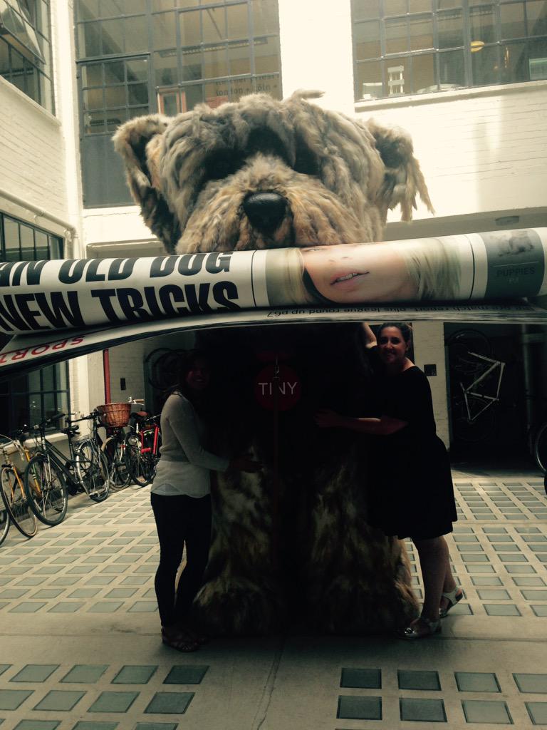 ncleak's tweet photo. @thenatmedia #ifoundtiny #thenationalexpectbigthings @blue_449 http://t.co/e3XB4UFdcN