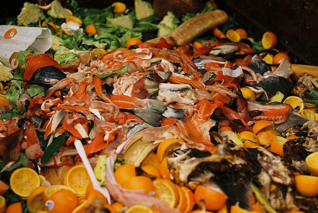 RareRepublic_WR's tweet photo. Check it out: @Food_Not_Waste making use of food "waste" http://t.co/TFrUz2QH9f
#FoodWR @WatRegionEats http://t.co/B0MnPUl52i