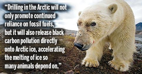 EcoWatch's tweet photo. 14 Reasons Why We Must Never Drill in the #Arctic http://t.co/sjVsap21v2 @Earthjustice @sierraclub @Waterkeeper @350 http://t.co/8ircgdCMzh