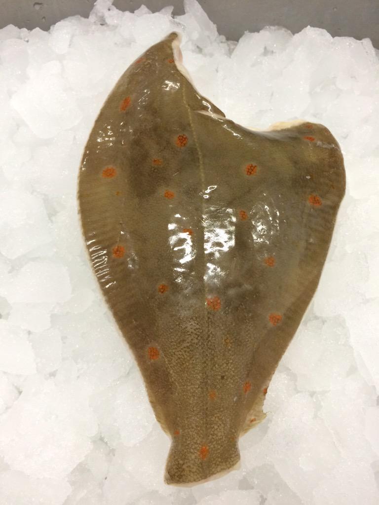 QuickfrozenBV's tweet image. Panklare schol, om van te watertanden!! #EatMoreFish #Urk #Quickfrozen