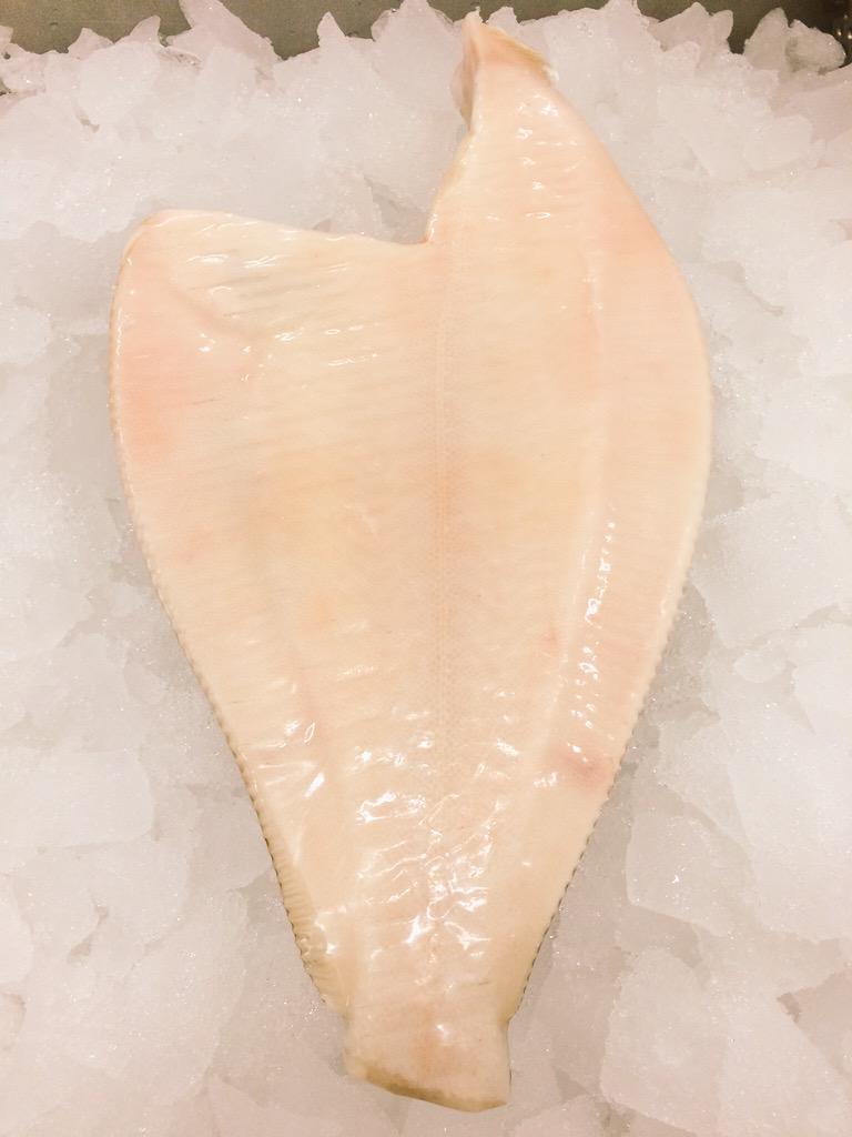 QuickfrozenBV's tweet image. Panklare schol, om van te watertanden!! #EatMoreFish #Urk #Quickfrozen