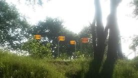 Nog even nagenieten van het ROGkamp? Dat kan, de foto's zijn nu beschikbaar! rog-korfbal.nl/fotos/category… #ckvrog