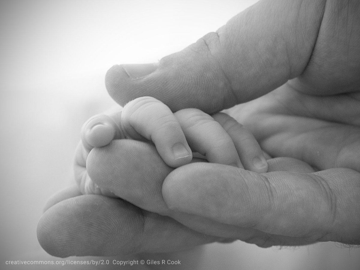 A new arrival in the Gibb family – robingibb.com/news/a-new-gib…