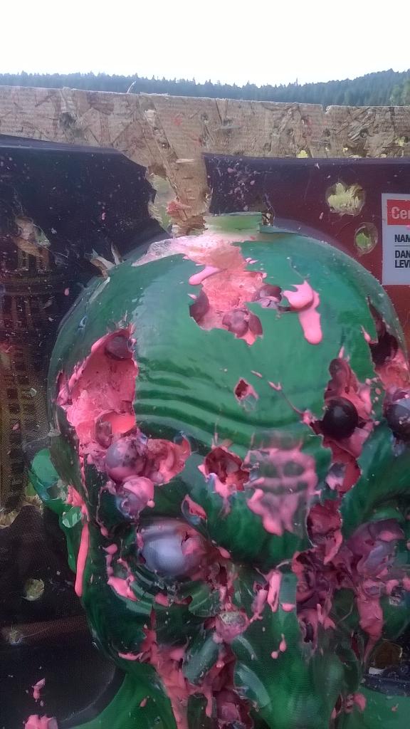 drum_rocker's tweet image. Preparation for the Zombie apocalypse. #shootfast#aimsmall#missSmall#DIEzombie