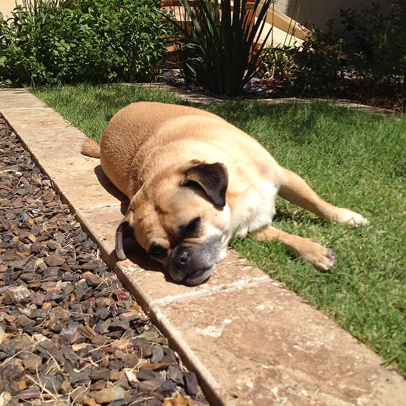 Earth from Space tweet media