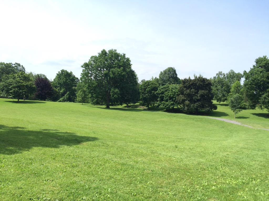 gllapoint's tweet photo. Back home in #syracuse NY for a couple days! Beautiful here. #green #peaceful #home #pizzastate http://t.co/4ZQBDbAA68