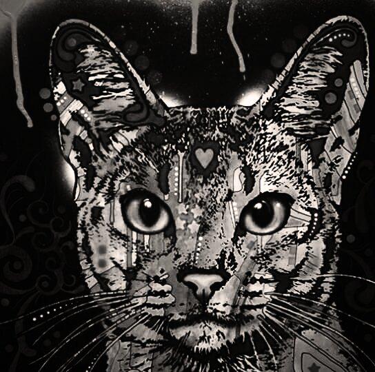 MayraMyca's tweet image. La tolerancia lleve de todos los valores