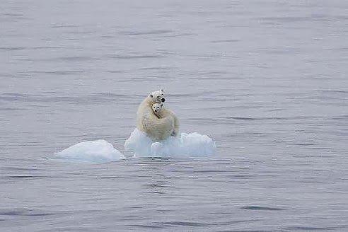 EssakaSenior's tweet photo. Cette image elle m'a fait de la peine http://t.co/ShlEQPkiFn