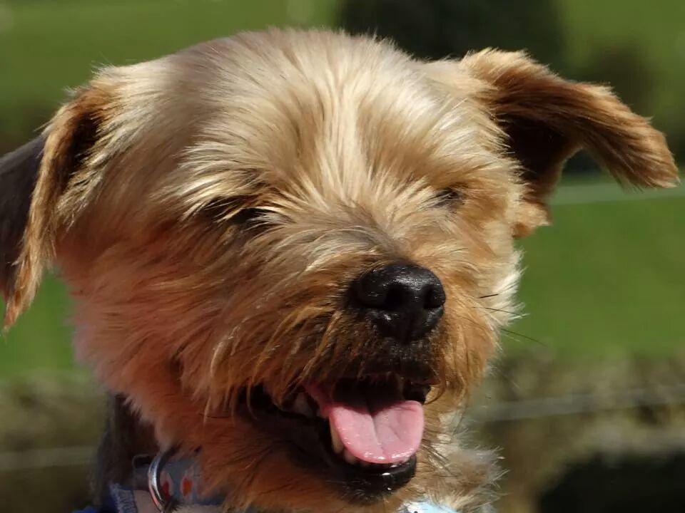 aimz27484's tweet photo. @RSPCA_official #petparentkit http://t.co/WSi7QNrGAa
