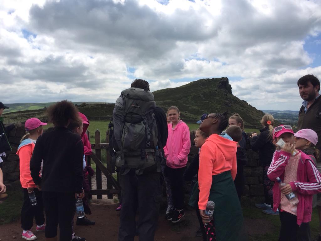 More pictures of Standon bowers