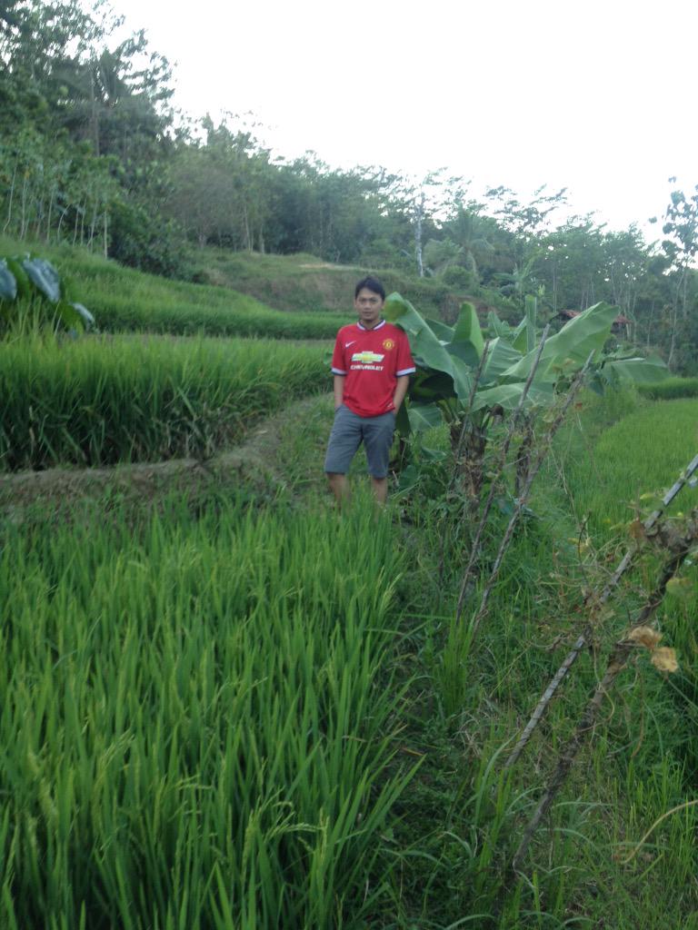 Didit Haryadi tweet media