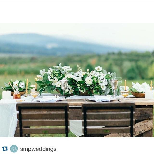 This tables cape is perfect for an outdoor wedding. So #pretty via <a href="/smpweddings/">SMP Weddings - Photo</a> - <a href="/amoreeventco/">Amore Events by Cody</a> photo - @emsaccopho…