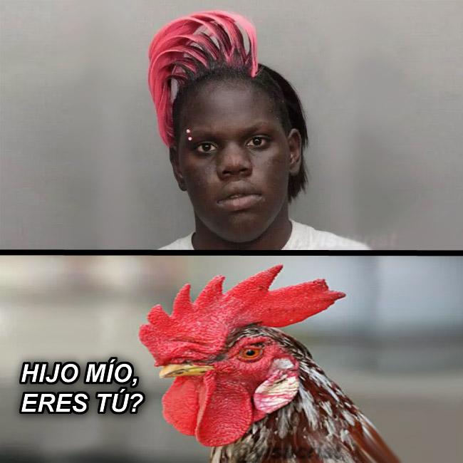 yisucrist's tweet photo. cuando t llevas mal con tu pelukero http://t.co/VUCuQXert9