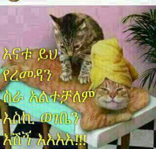 0jh_h's tweet photo. @e4a82a9945ed48e http://t.co/YI6vqf9qLH