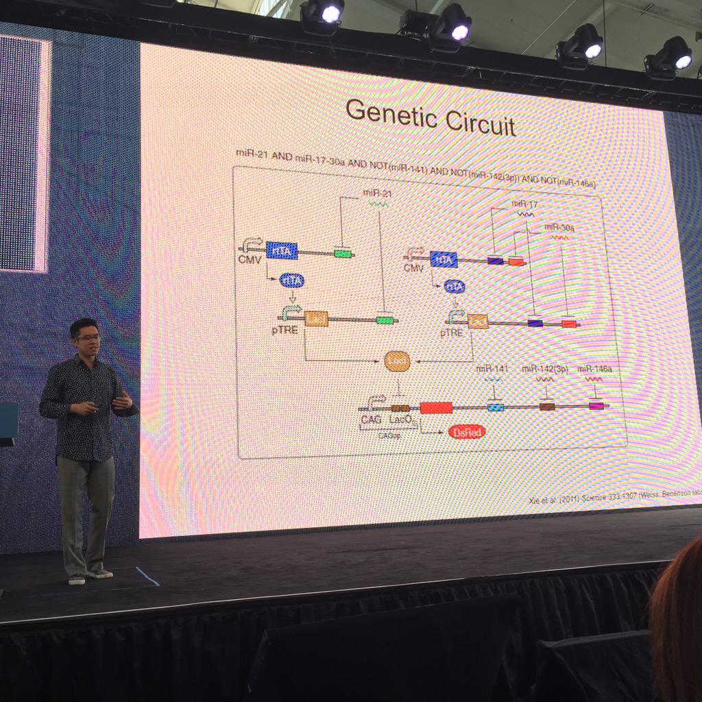 davidthings's tweet image. Here&apos;s a biological computer for killing cancer.  It runs when it detects the correct enzyme combination #SolidCon