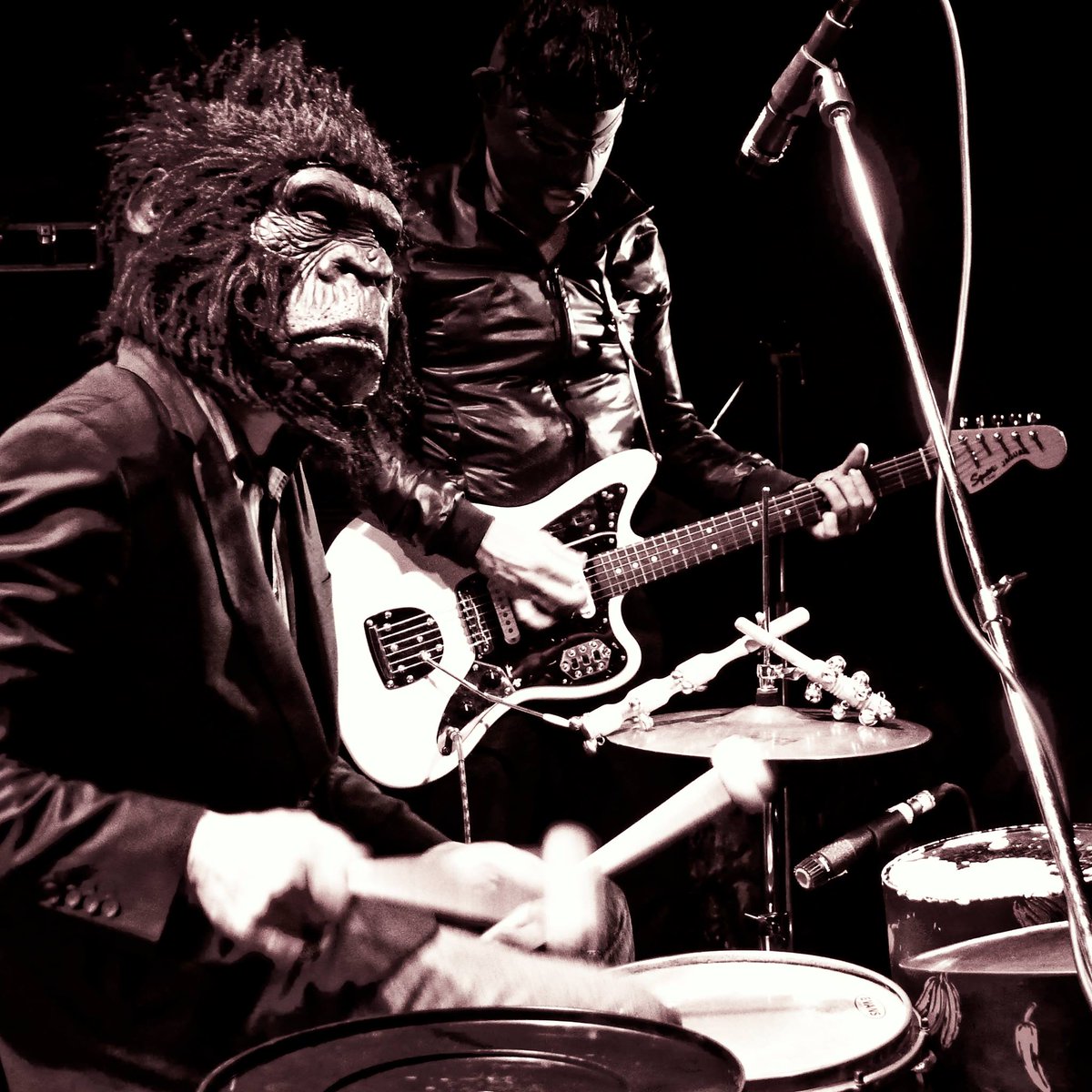 angelaserratoh's tweet photo. Sonido #Rock a 21 grados @CICUS_ http://t.co/uLSgbqe32y @diariosevilla http://t.co/CIpLmmbqa4