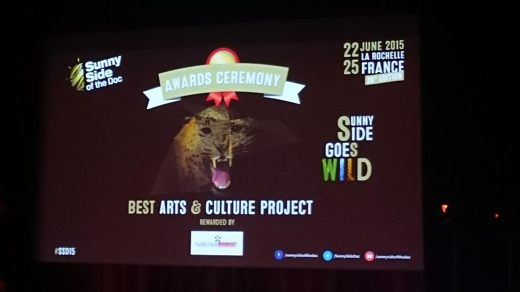 priminews's tweet photo. Merci @SunnySideDoc pour le prix Best Arts &amp; culture project remis à Alexandre Cornu @TambourdeSoie @priminews http://t.co/tEtEApYEdt